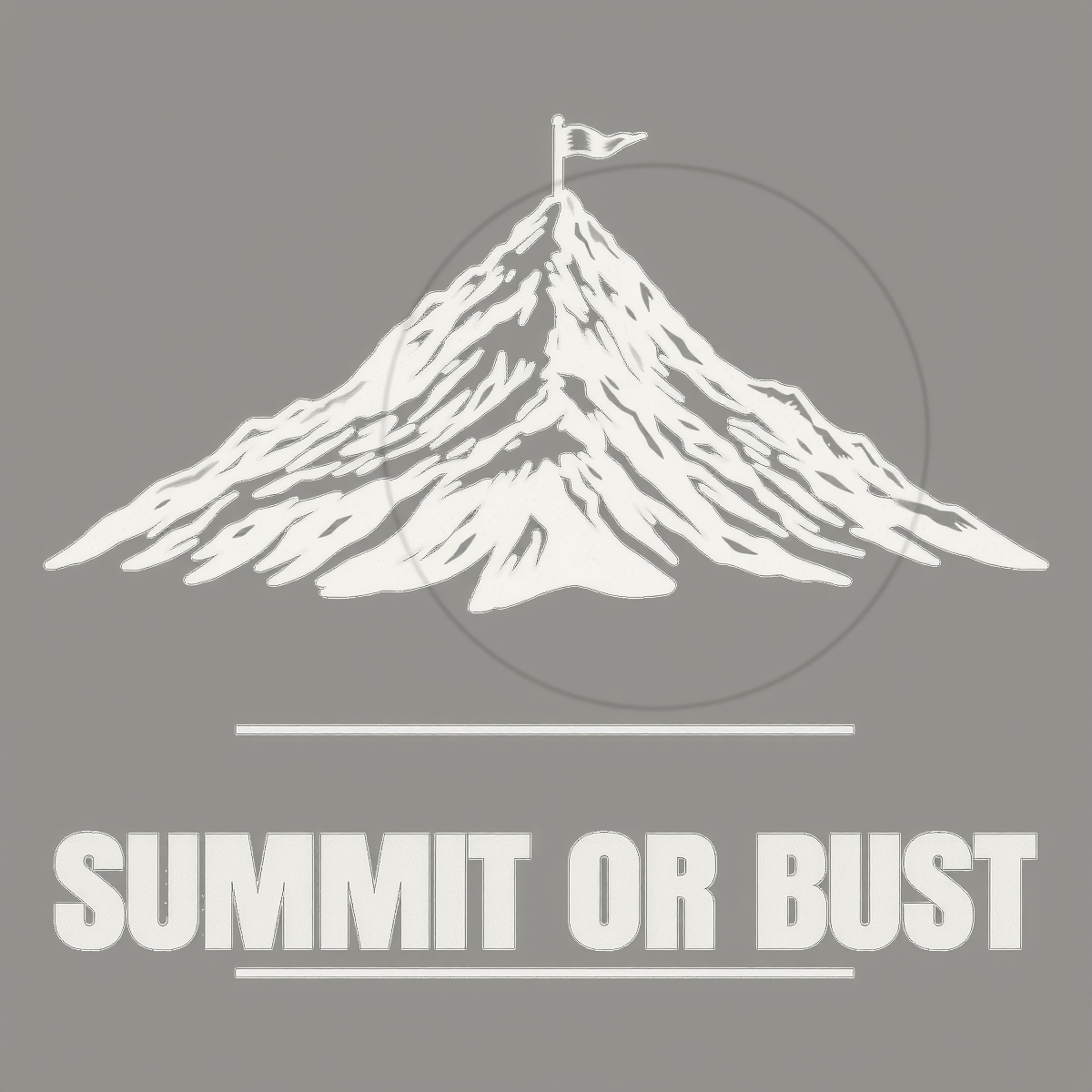 Summit or Bust Colorado 14er Graphic Tee